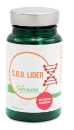 SODLODER-1.jpg