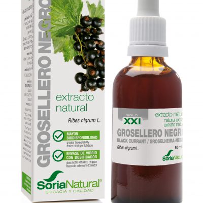 GROSELLERO NEGRO EXTRACTO S XXI 50 ml