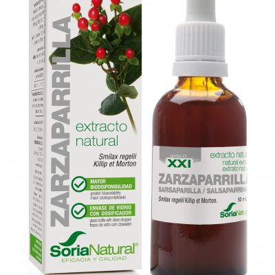 ZARZAPARRILLA EXTRACTO S XXI  50 ml