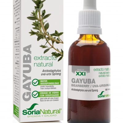 GAYUBA EXTRACTO S XXI 50 ml