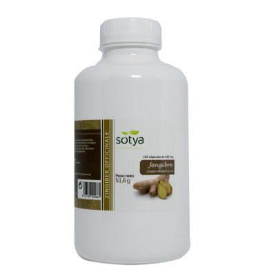 JENGIBRE 120 CAPSULAS