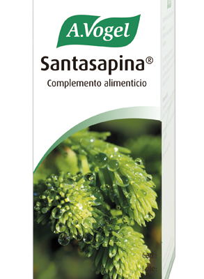 SANTASAPINA JARABE 200 ml