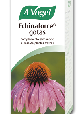ECHINAFORCE 100 ml