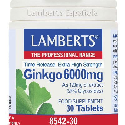 GINKGO BILOBA 6000 mg 30 Tabs
